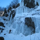 Freissiniere
