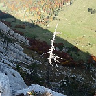 Roc des Boeufs