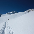 IMG_3951